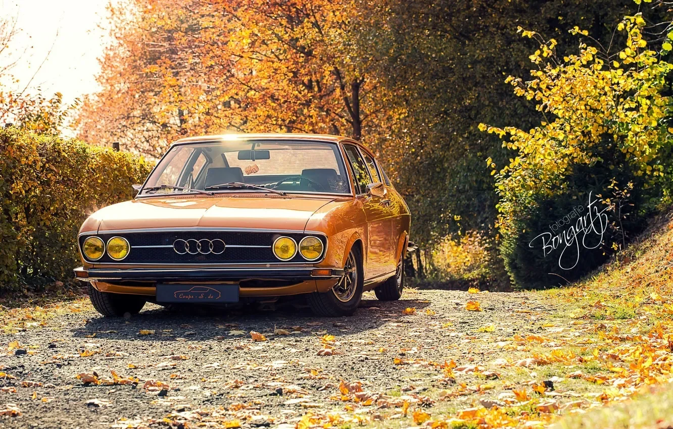 Audi 100 100 Coupe S
