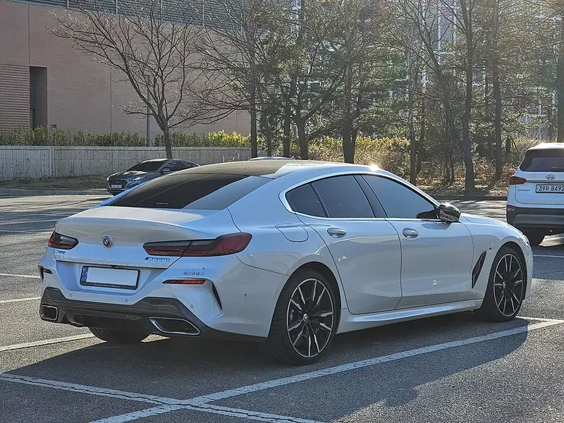 BMW 8 Serisi - 5