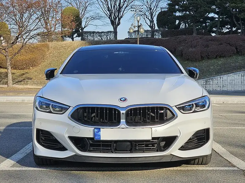 BMW 8 Serisi - 5