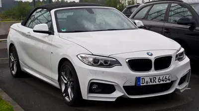 BMW 2 Serisi 2 Serisi Cabrio (F23)