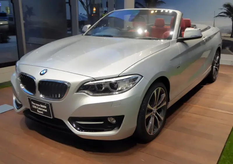 BMW 2 Serisi - 5