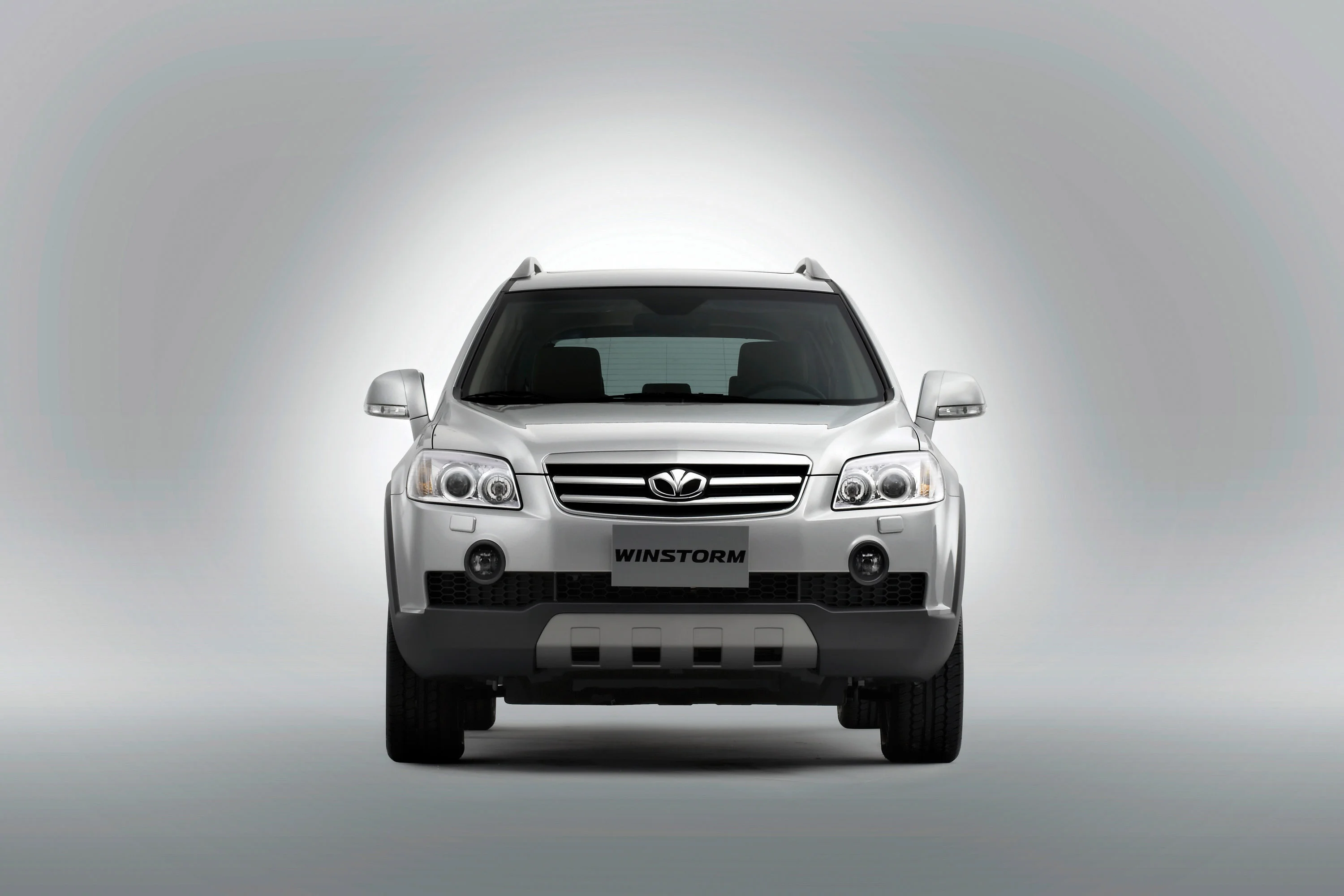 Daewoo Winstorm Winstorm