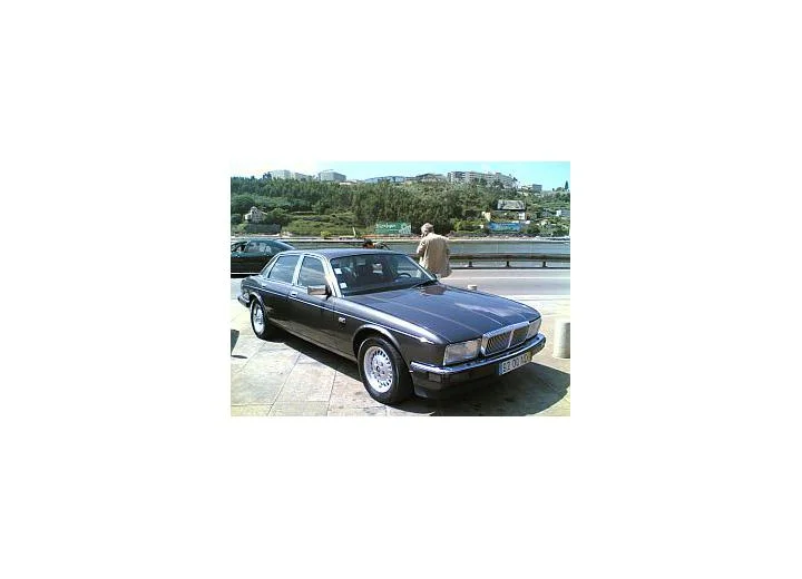 Daimler XJ 40, 81 XJ 40, 81