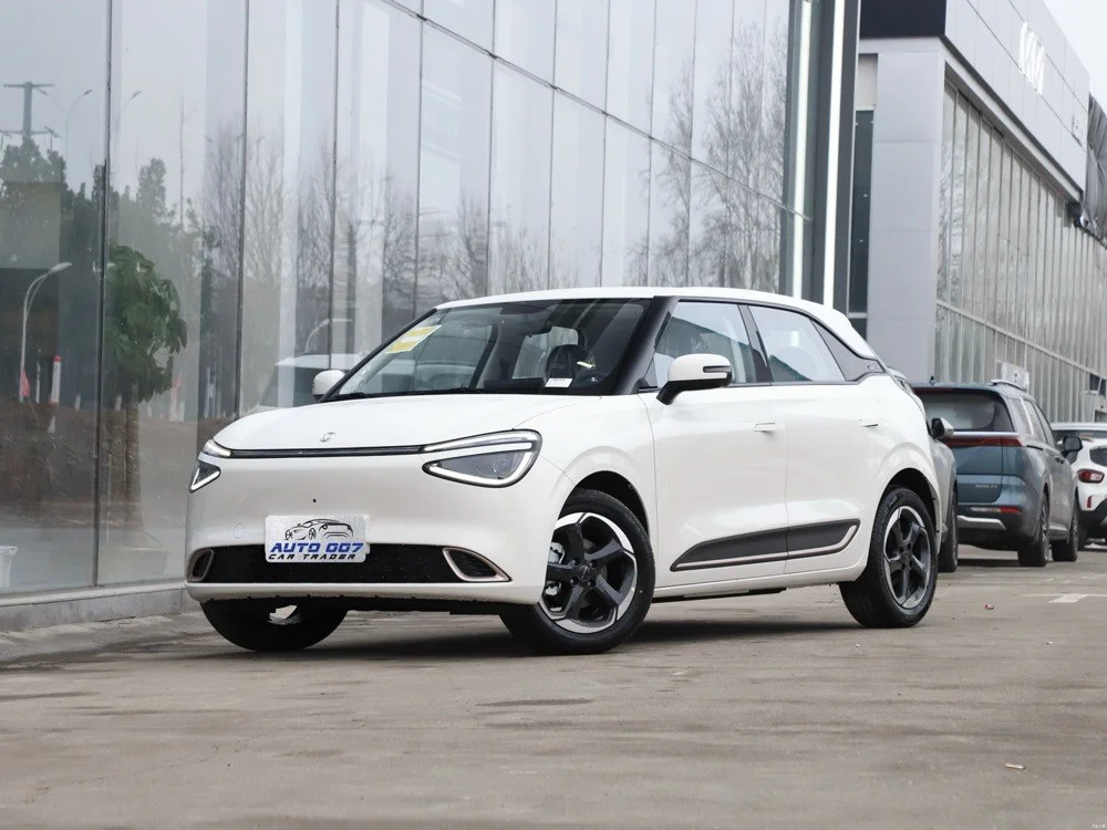 DongFeng Nammi 01 Nammi 01