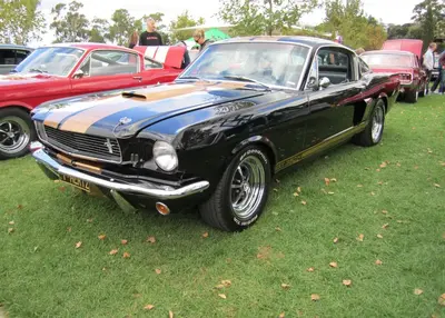 Ford Shelby Shelby I Cabrio