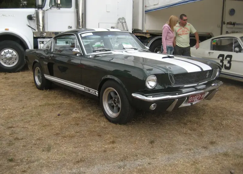 Ford Shelby - 2