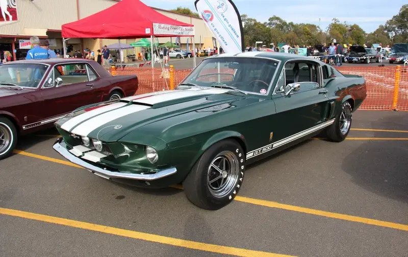 Ford Shelby - 3