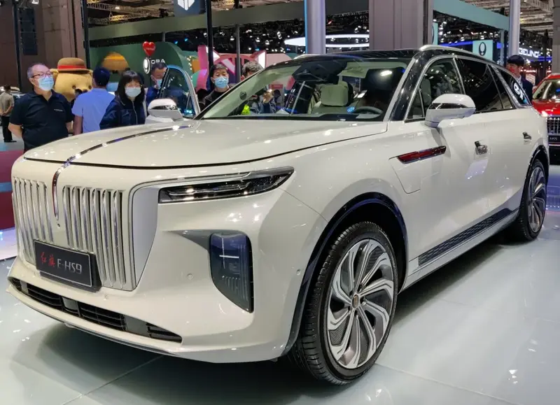 Hongqi E-HS9 E-HS9 99 kWh (551 bg) AWD 7 Seat - görsel 2