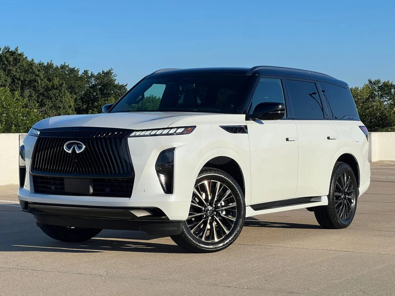 Infiniti QX80 QX80 (Z63)
