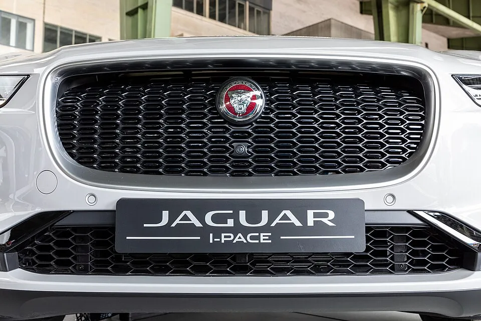 Jaguar 3