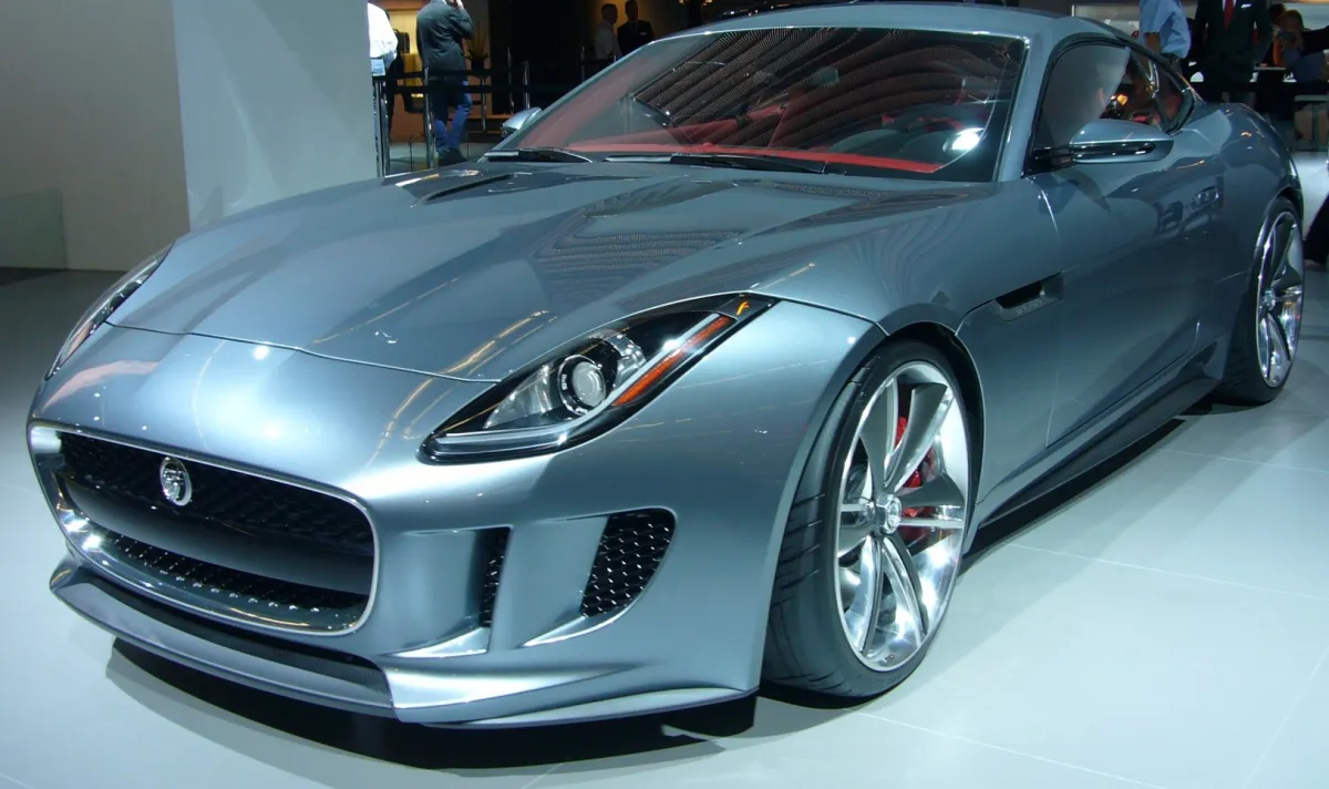 Jaguar - 7