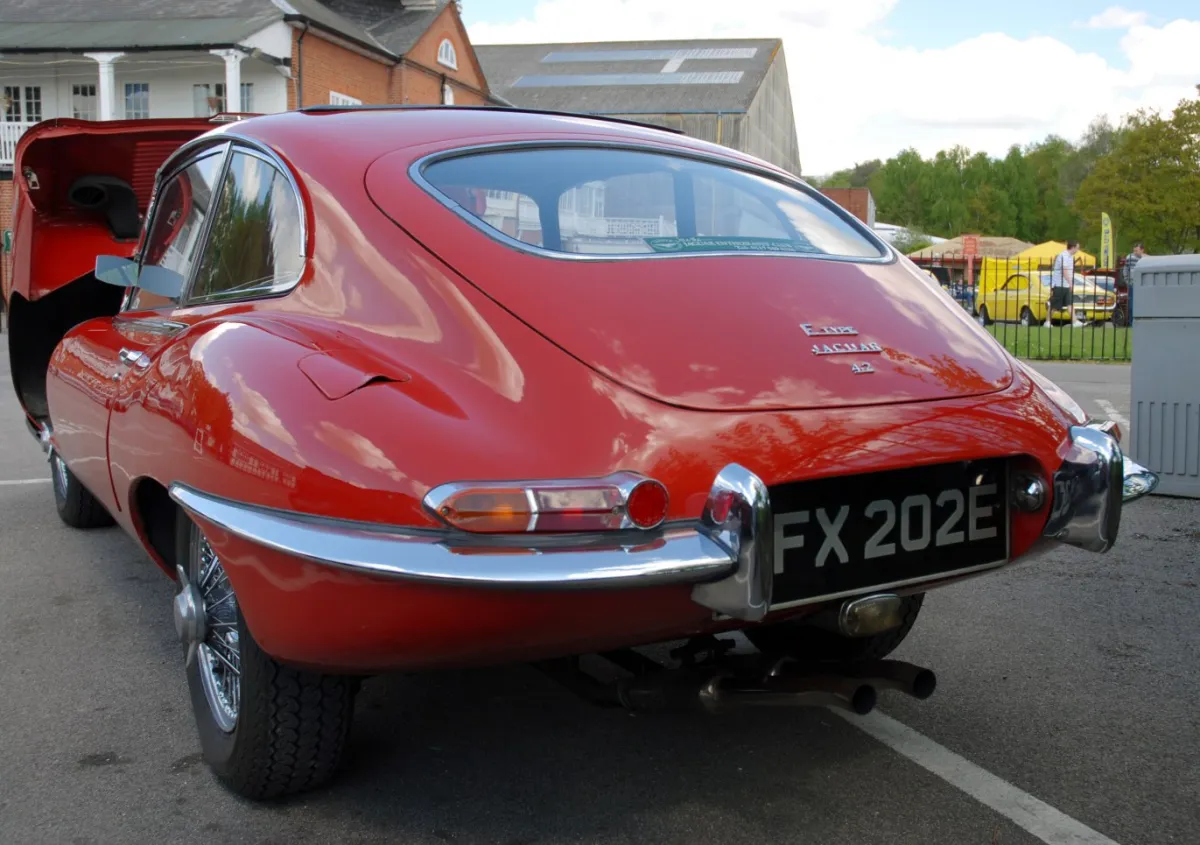 Jaguar - 8