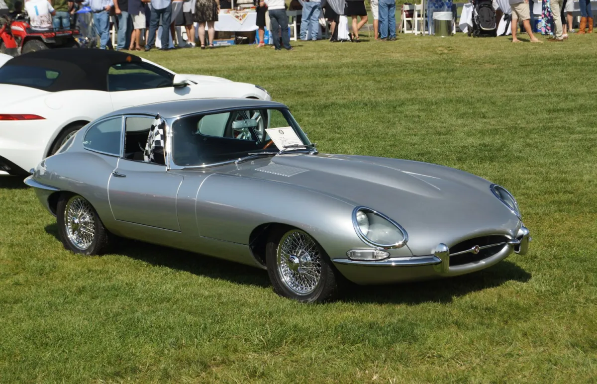 Jaguar - 10