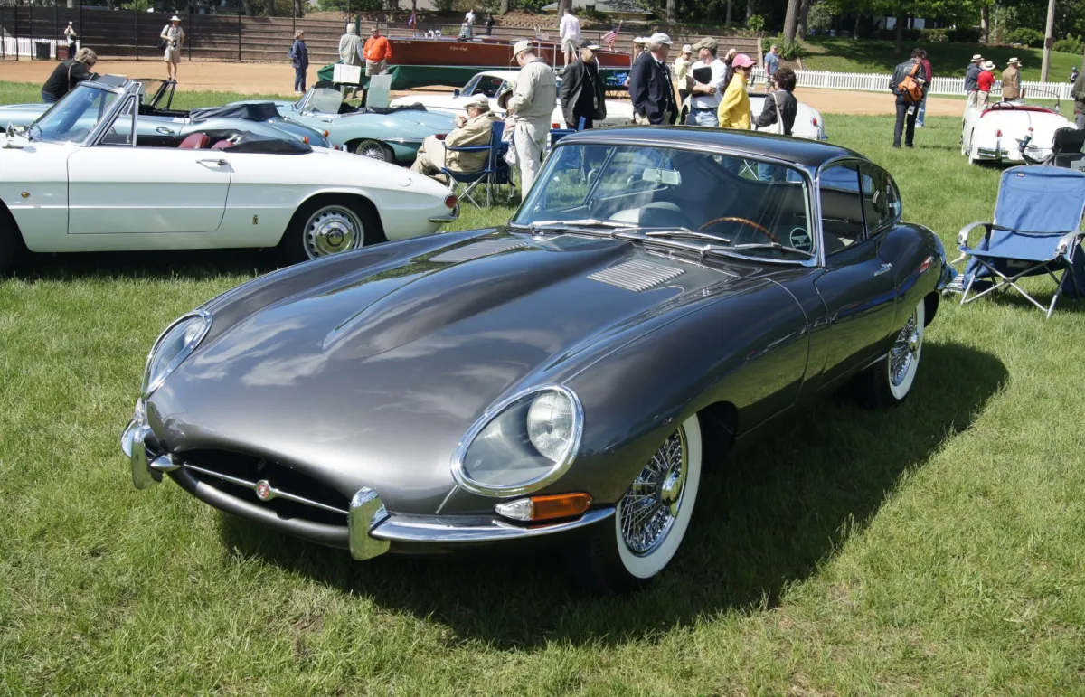 Jaguar - 11