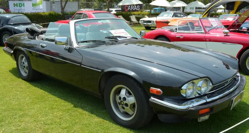 Jaguar XJS - 6