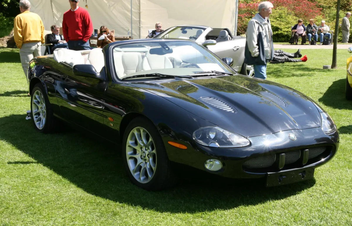 Jaguar - 15