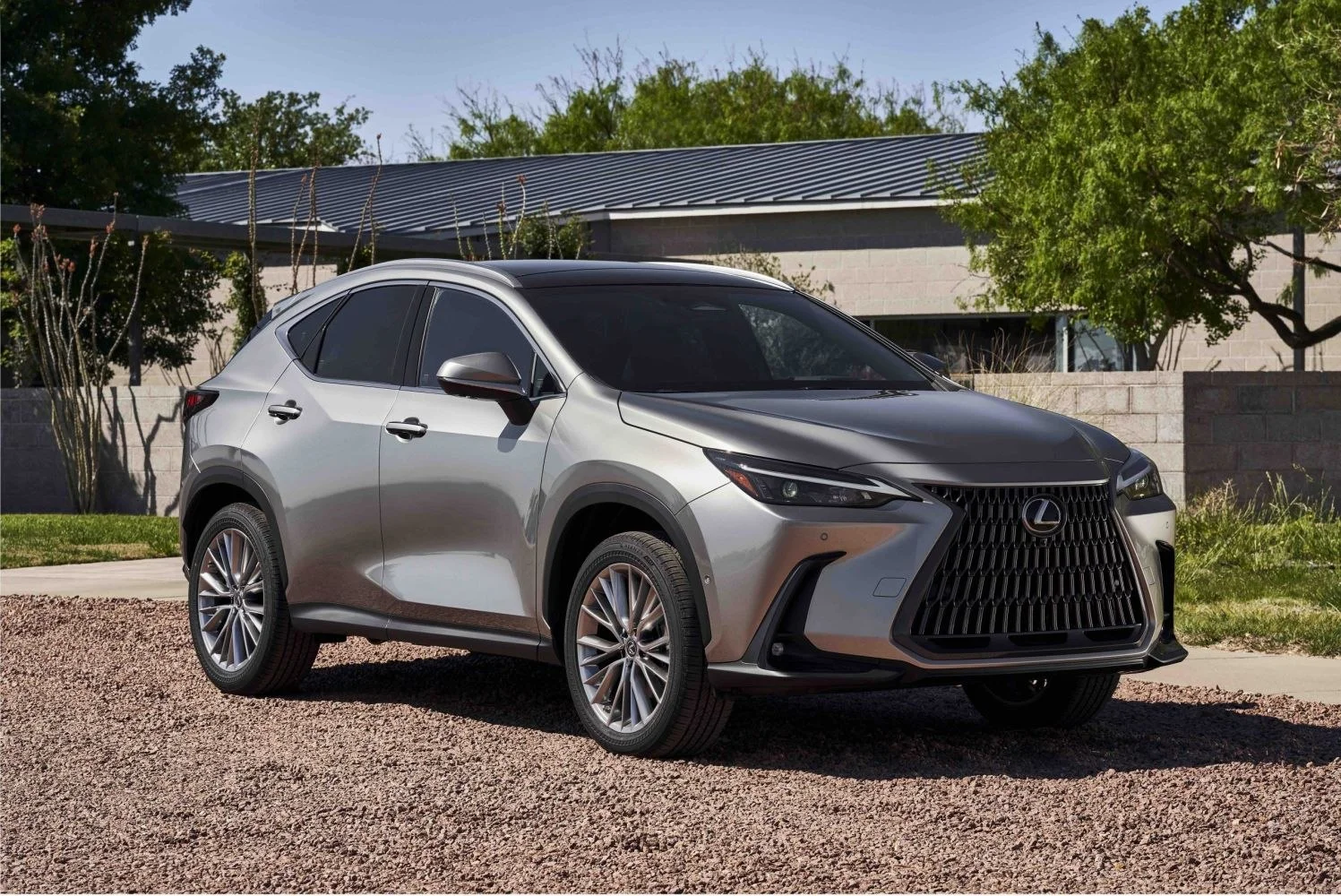 Lexus NX NX II (AZ20)