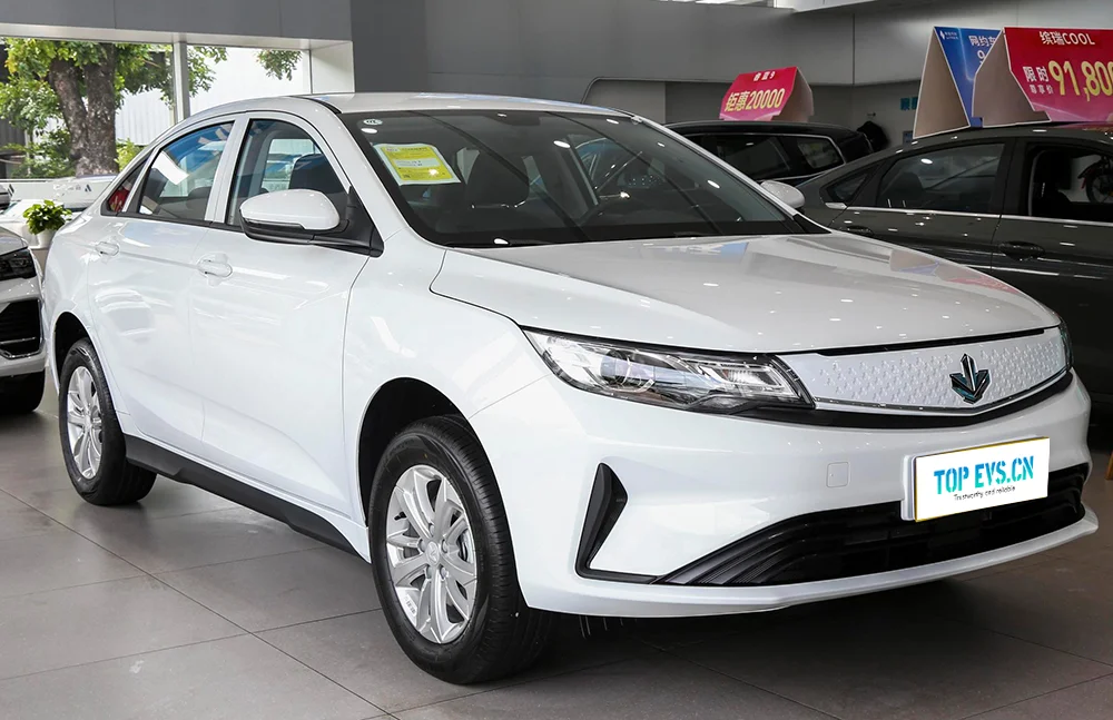 Livan Maple 80V Maple 80V