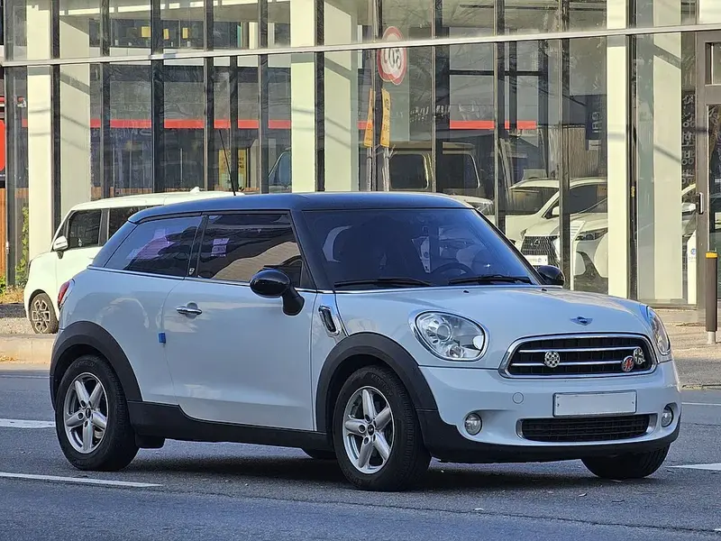 Mini Paceman - 3