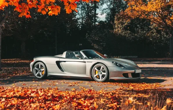 Porsche Carrera GT Carrera GT