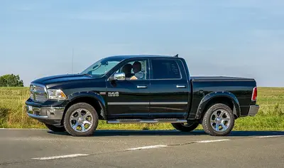 RAM 1500 1500 Regular Cab Long (DS)