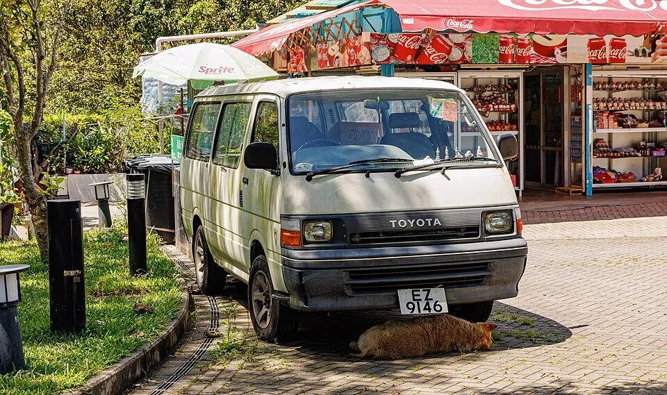 Toyota 3