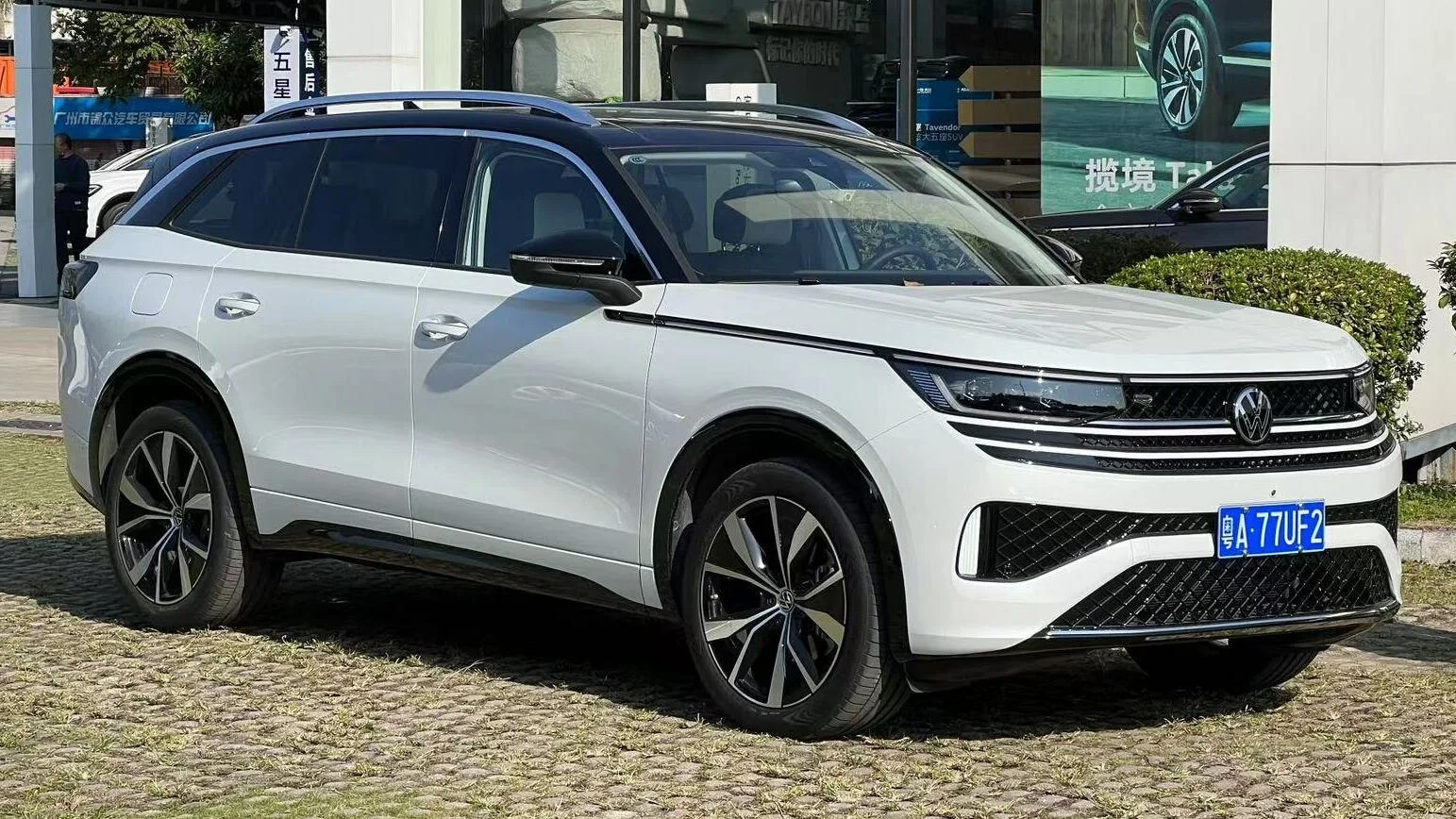 Volkswagen Tavendor Tavendor