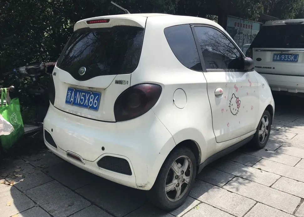 Zhidou D1 D1