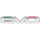 EVO logo